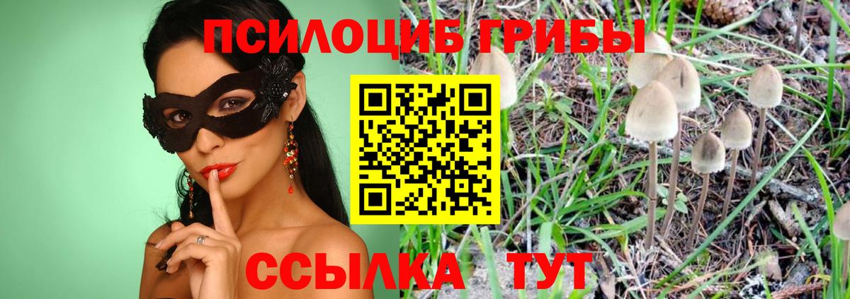 Галлюциногенные грибы прущие грибы Моздок
